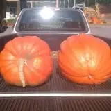 Winslett's Produce Market photo