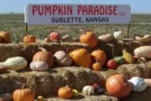 Pumpkin Paradise LLC