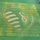 Powell Pumpkin Patch photo