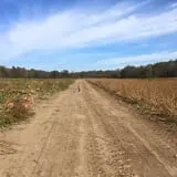 Powell Pumpkin Patch photo