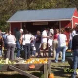 Powell Pumpkin Patch photo