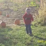 Powell Pumpkin Patch photo