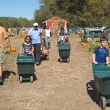Powell Pumpkin Patch photo