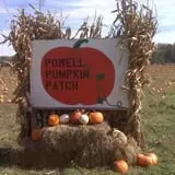 Powell Pumpkin Patch photo