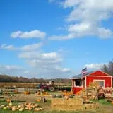 Powell Pumpkin Patch photo