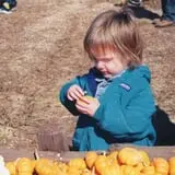Powell Pumpkin Patch photo
