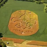 Powell Pumpkin Patch photo