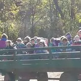 Powell Pumpkin Patch photo