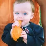 Powell Pumpkin Patch photo