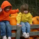 Powell Pumpkin Patch photo