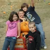Powell Pumpkin Patch photo