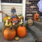 Powell Pumpkin Patch photo