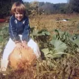Powell Pumpkin Patch photo