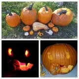 Powell Pumpkin Patch photo