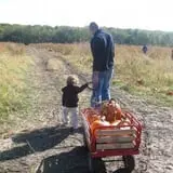 Powell Pumpkin Patch photo