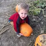 Powell Pumpkin Patch photo