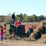 Powell Pumpkin Patch photo