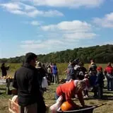Powell Pumpkin Patch photo