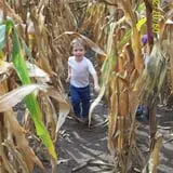 Powell Pumpkin Patch photo