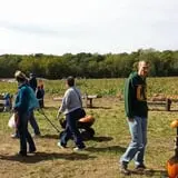 Powell Pumpkin Patch photo