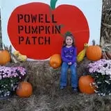 Powell Pumpkin Patch photo