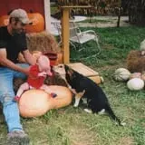 Powell Pumpkin Patch photo