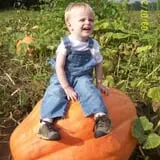 Powell Pumpkin Patch photo