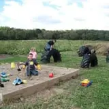 Powell Pumpkin Patch photo