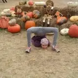 Powell Pumpkin Patch photo