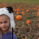 Peacock Road Family Farm photo