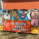 Peacock Road Family Farm photo