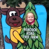 Peacock Road Family Farm photo
