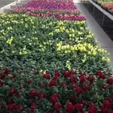 Byrne Farm Market photo