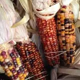Byrne Farm Market photo