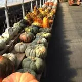 Byrne Farm Market photo