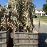 Byrne Farm Market photo