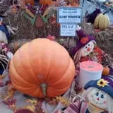 Byrne Farm Market photo