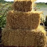 Byrne Farm Market photo