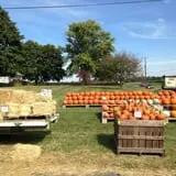 Byrne Farm Market photo