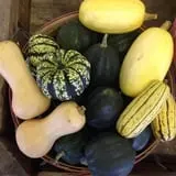 Byrne Farm Market photo