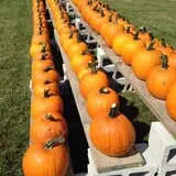 Byrne Farm Market photo