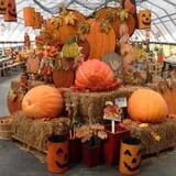 Byrne Farm Market photo