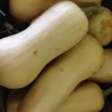 Byrne Farm Market photo
