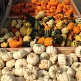 Byrne Farm Market photo