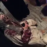 The Nightmare Chamber