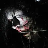 Creepy Hollow Haunted Woods photo