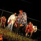 Field of Terror Haunted House & Hay Ride photo