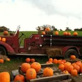 Apple Hill Farm photo