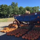 Apple Hill Farm photo