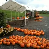 Apple Hill Farm photo